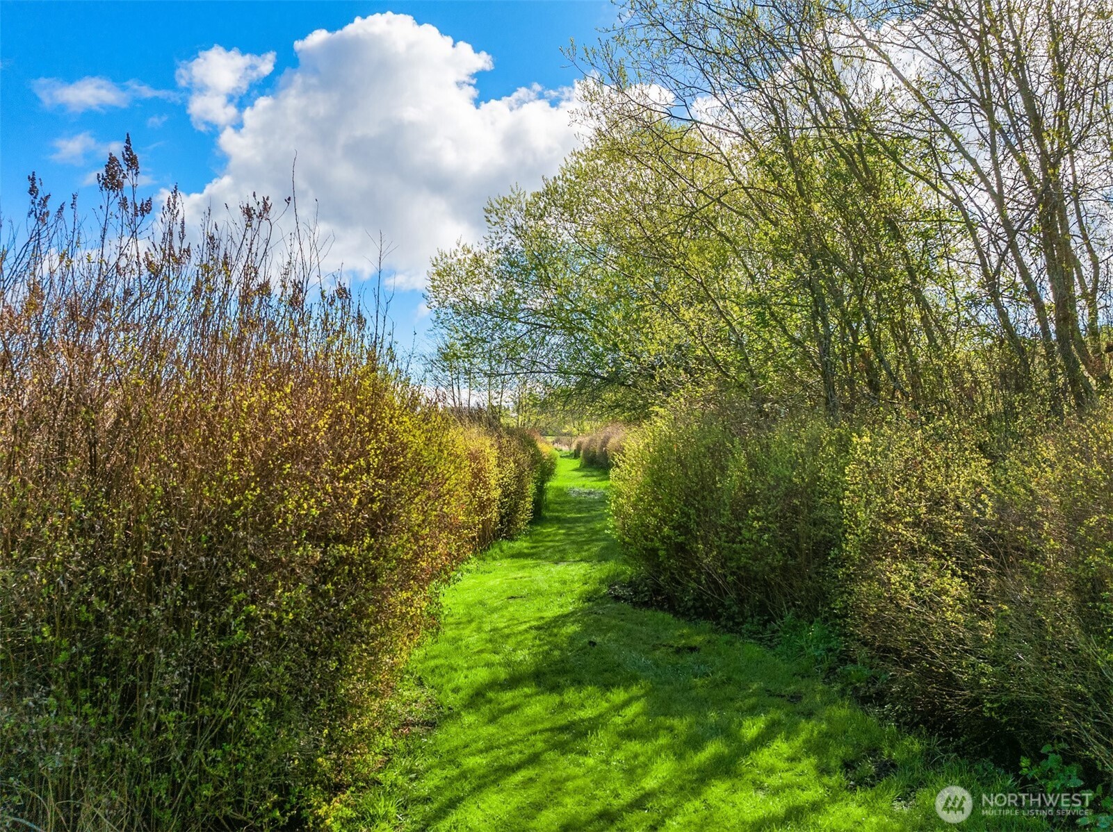 37695 Hansville Road Northeast Hansville, WA 98340 - Photo 32 of 37