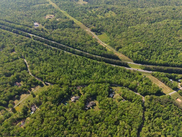 a view of a green yard with large trees