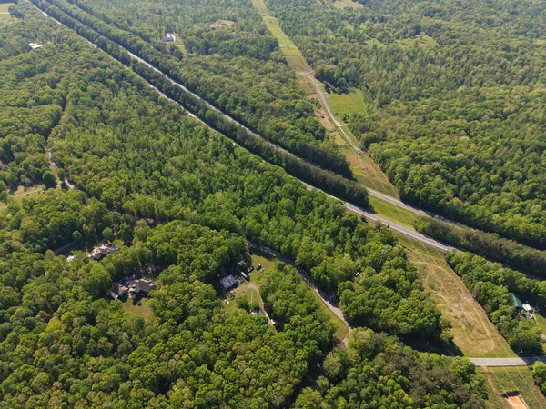 a view of a forest from a balcony