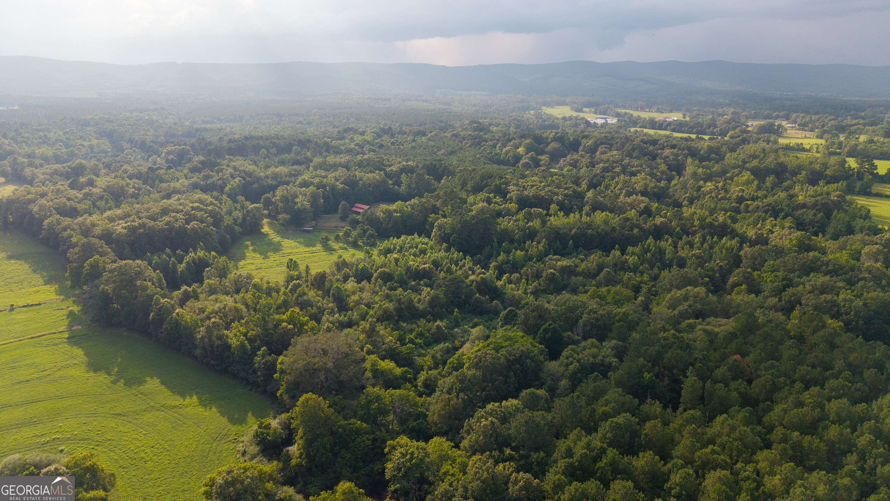 1216 Everett Springs Road Calhoun, GA 30701 - Photo 24 of 37