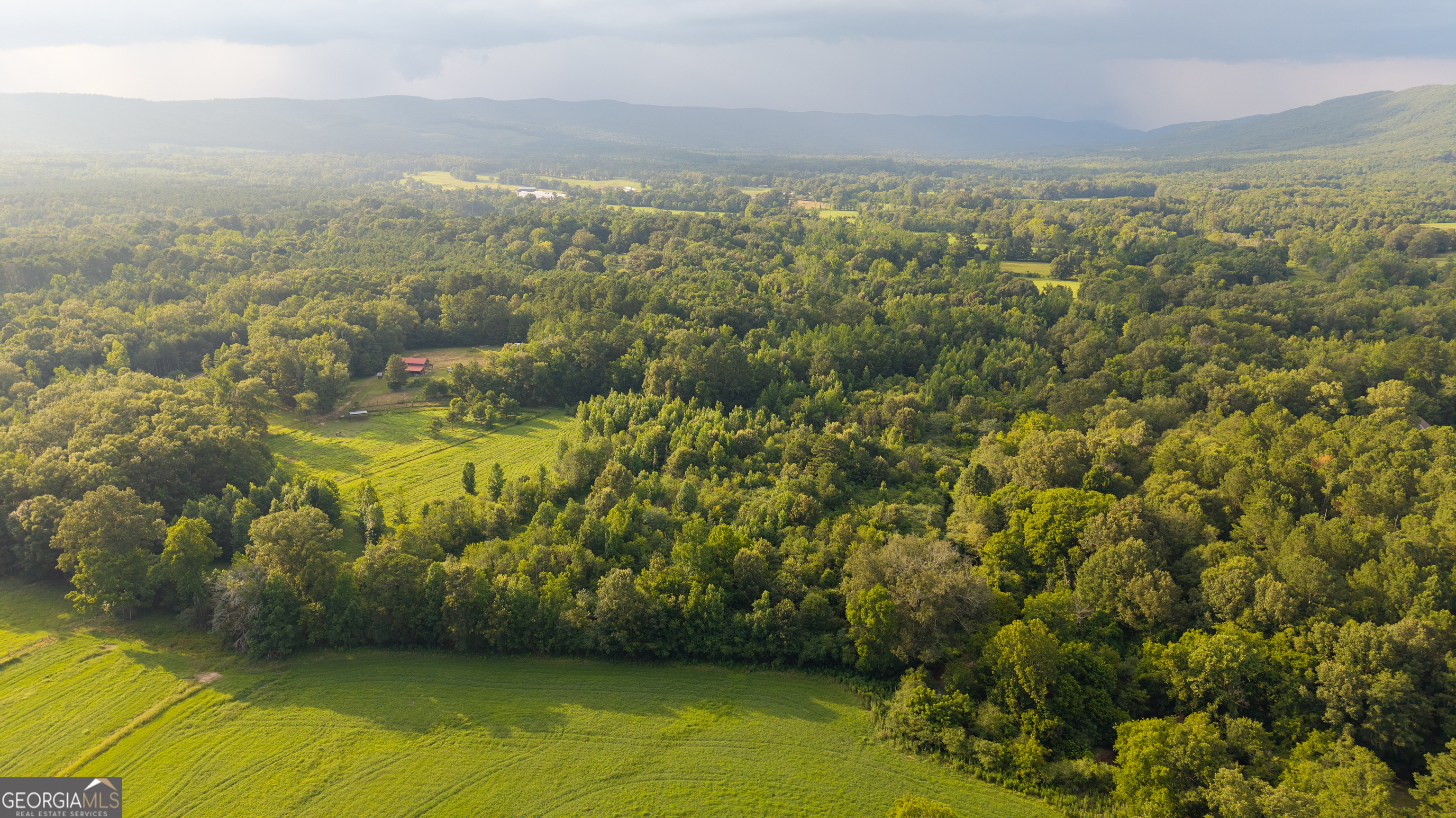 1216 Everett Springs Road Calhoun, GA 30701 - Photo 25 of 37
