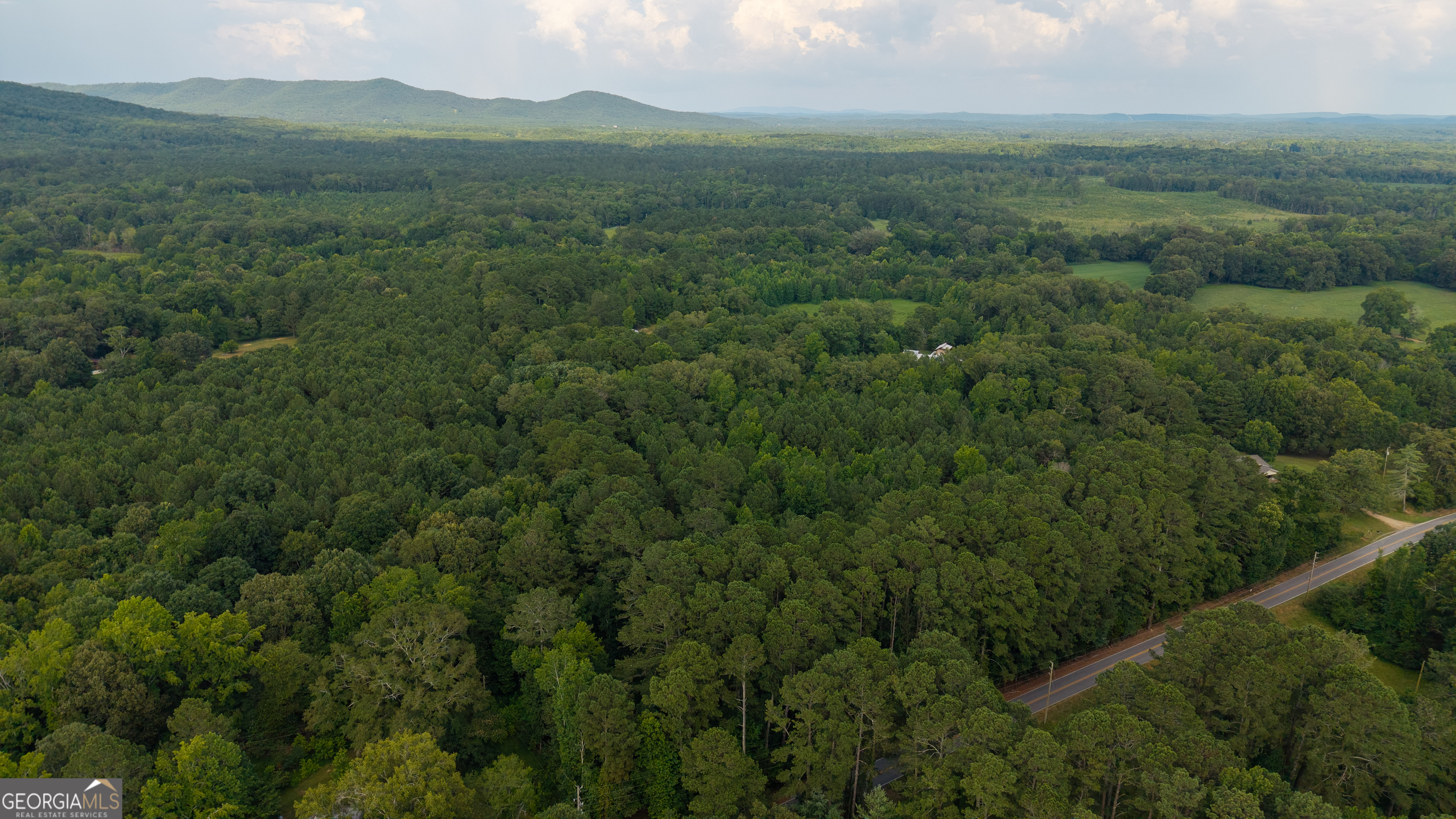 1216 Everett Springs Road Calhoun, GA 30701 - Photo 35 of 37