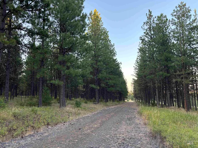 $145,000 | Rd-cloverland Estates Asotin Wa 99402 Estates, Asotin, WA 99402