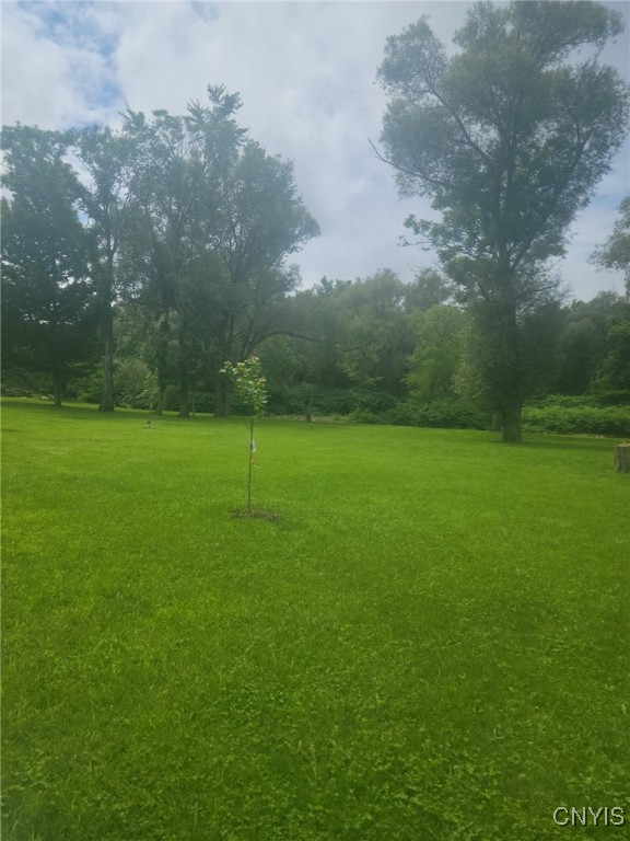 2264 County Rte 15 Sandy Creek, NY 13145 - Photo 42 of 48