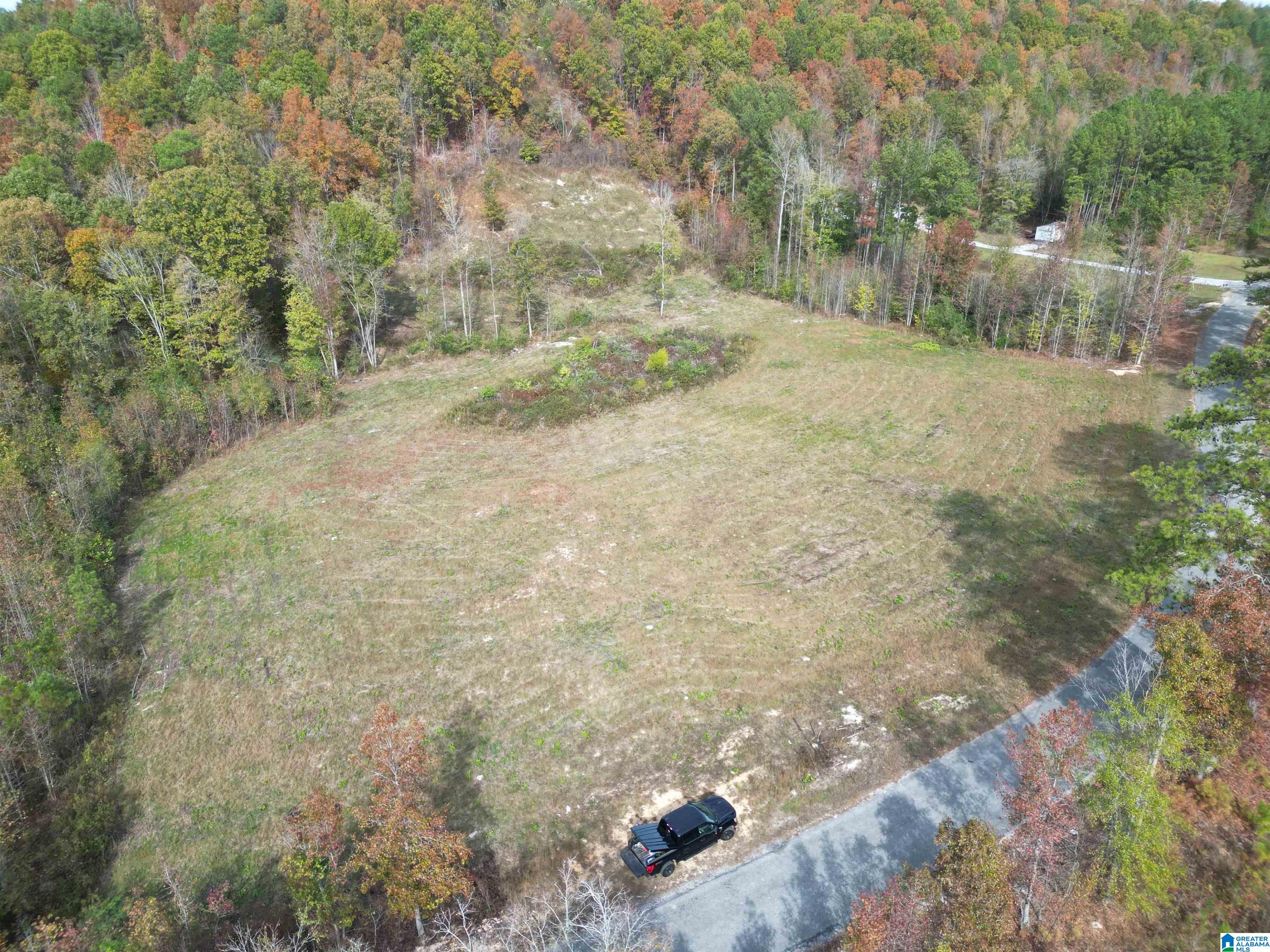 0 Mill Branch Road Jacksonville, AL 36265 - Photo 1 of 6