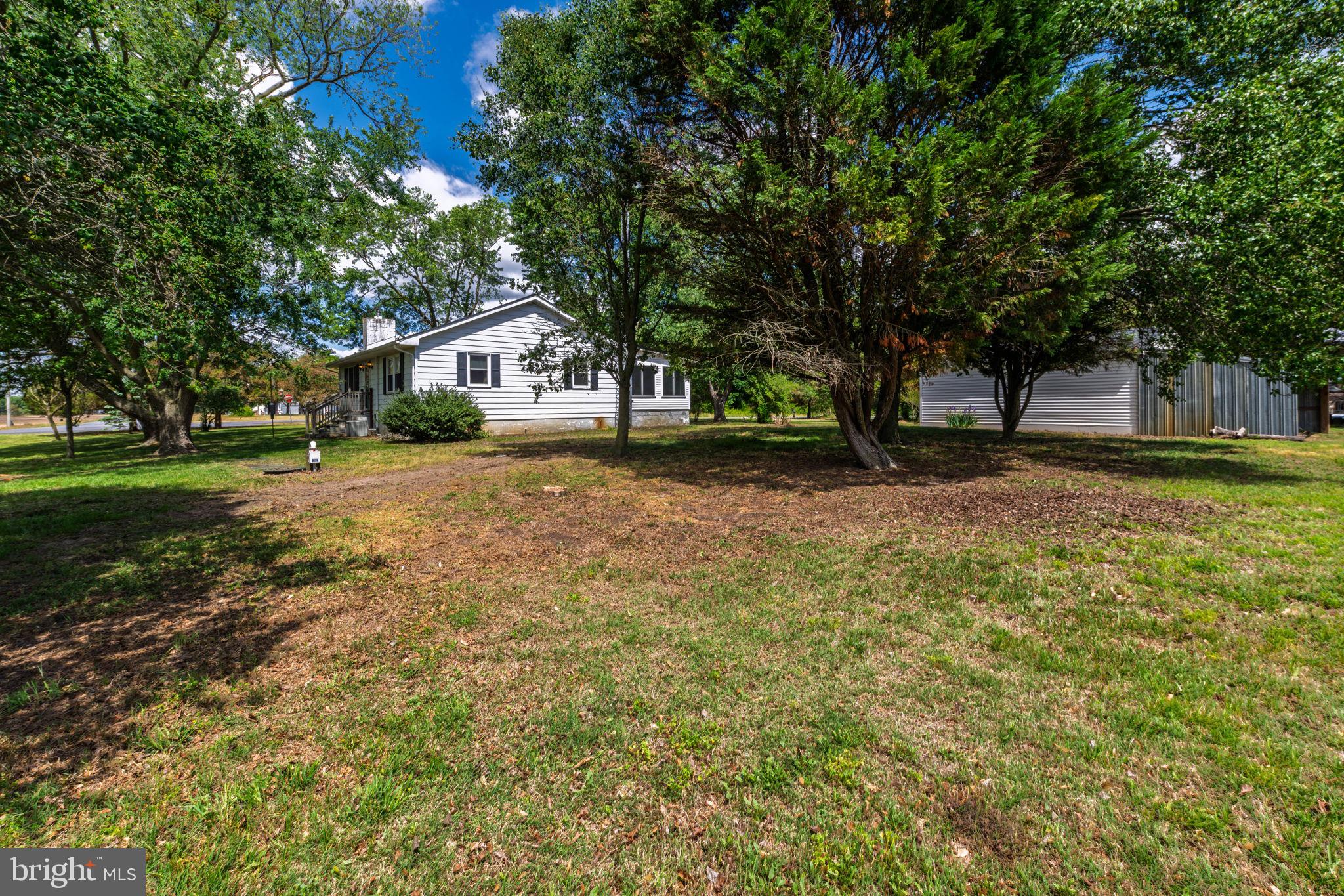 32517 Molly Field Road Dagsboro, DE 19939 - Photo 5 of 25 Charming home amidst lush greenery.