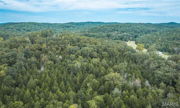 $99,500 | 0 County Road 342, Lesterville, MO 63654