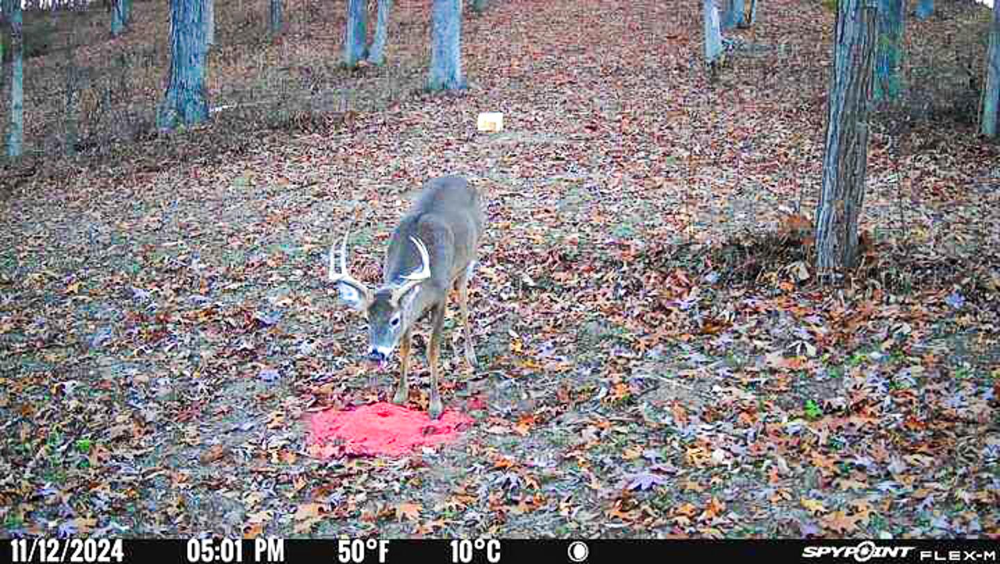 0 Chase Road Albany, OH 45710 - Photo 3 of 37 Chase Rd-3