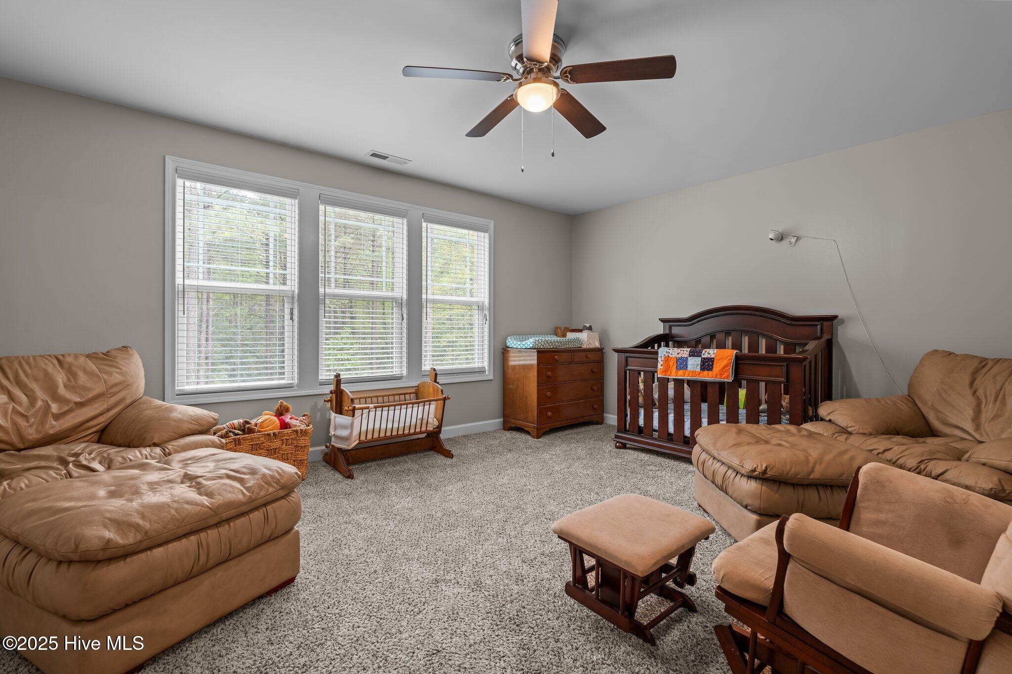 215 Almond Drive Cameron, NC 28326 - Photo 26 of 47 29-web-or-mls-DSC08014