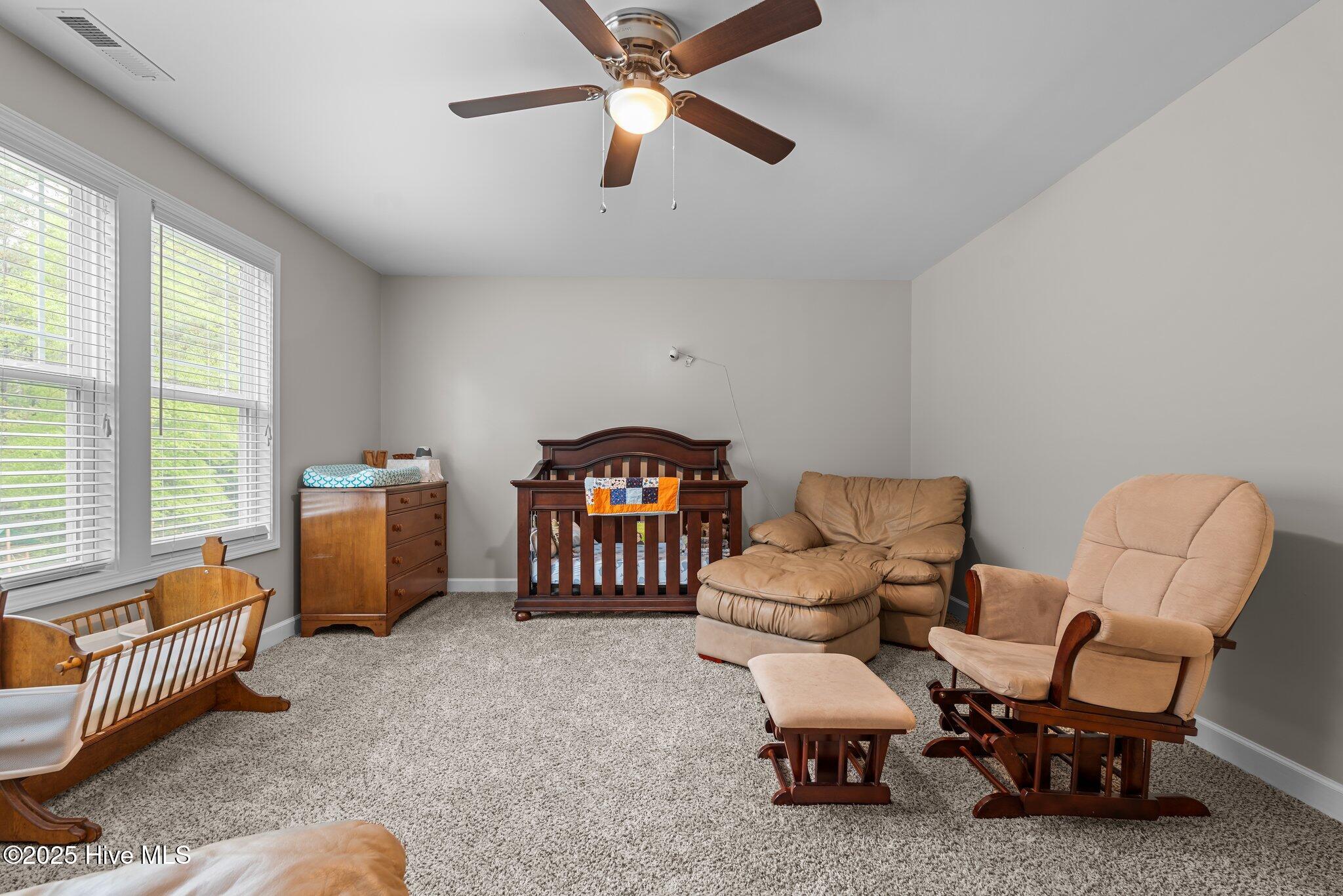 215 Almond Drive Cameron, NC 28326 - Photo 27 of 47 30-web-or-mls-DSC08017