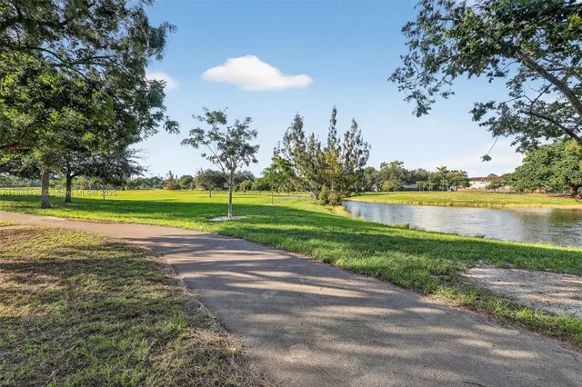 a view of a park with large trees