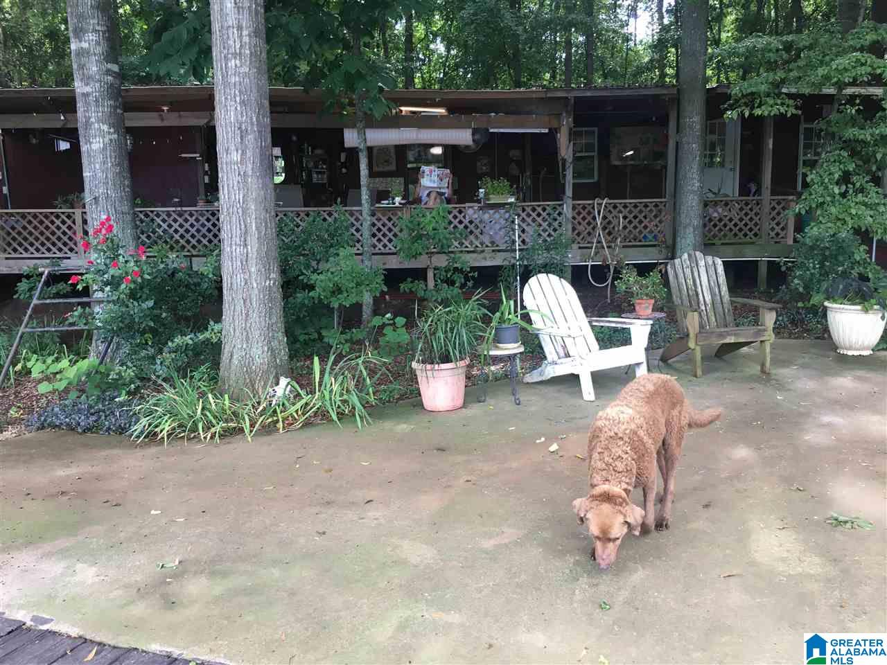 9276 County Road 2 Waverly, AL 36879 - Photo 27 of 38