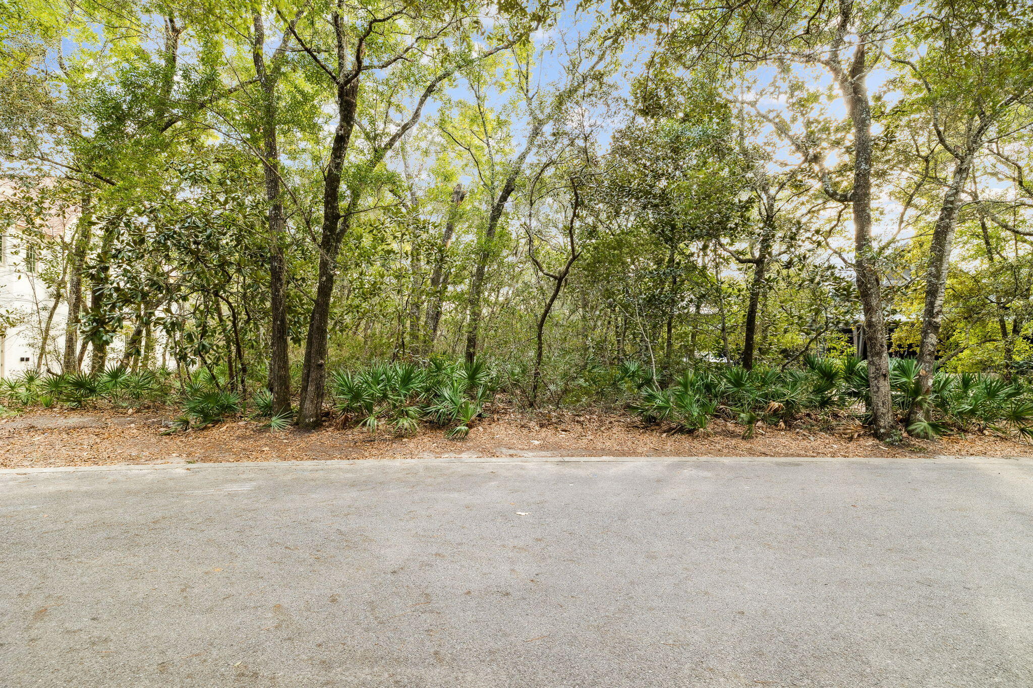 Lot 22 Nicole Frst Drive Santa Rosa Beach, FL 32459 - Photo 11 of 22 front view of a house with a yard and a forest