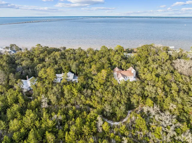 a view of a bunch of trees in a yard
