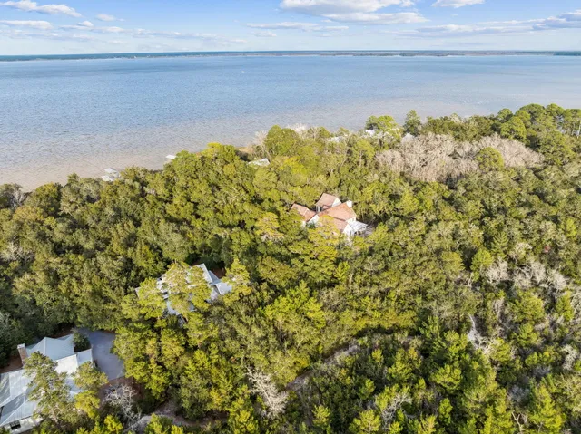 a bunch of flowers in a garden