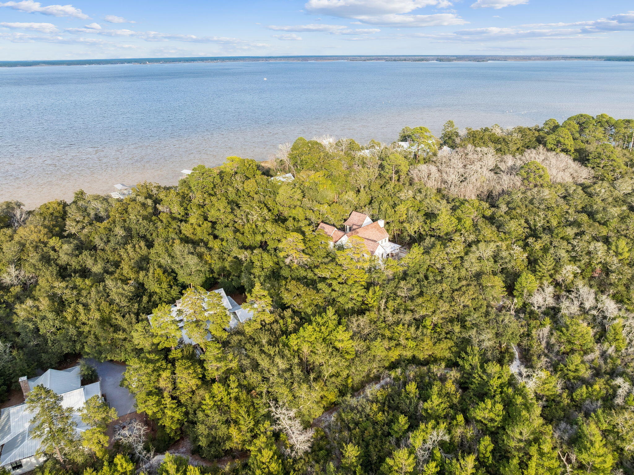 Lot 22 Nicole Frst Drive Santa Rosa Beach, FL 32459 - Photo 4 of 22 a bunch of flowers in a garden