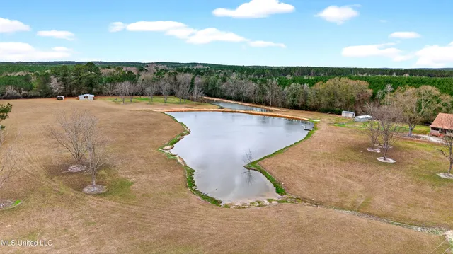 $375,000 | 80 South Spoon Ranch Road, Poplarville, MS 39470