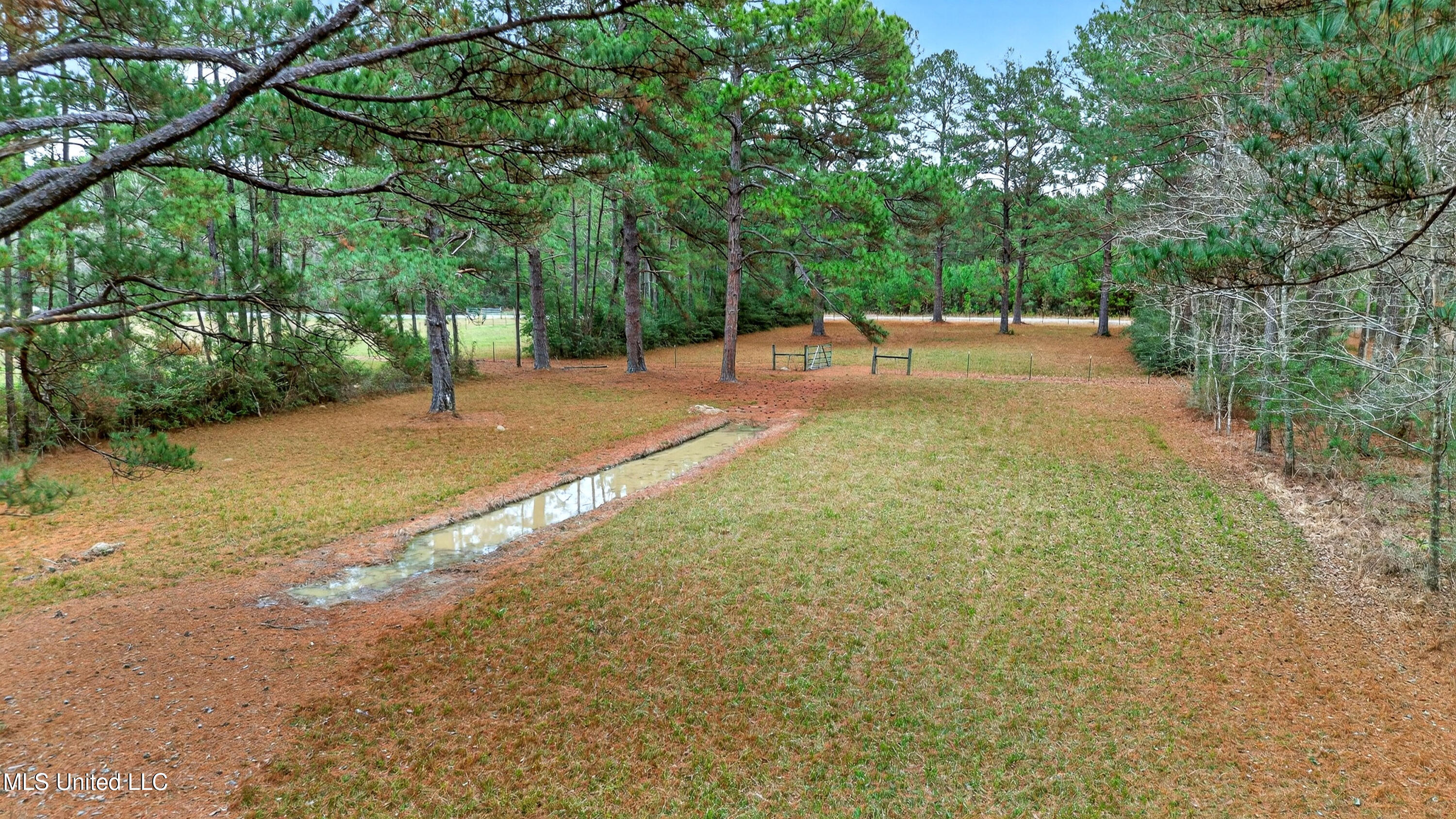 80 South Spoon Ranch Road Poplarville, MS 39470 - Photo 33 of 51 DJI_20260102121606_0323_D