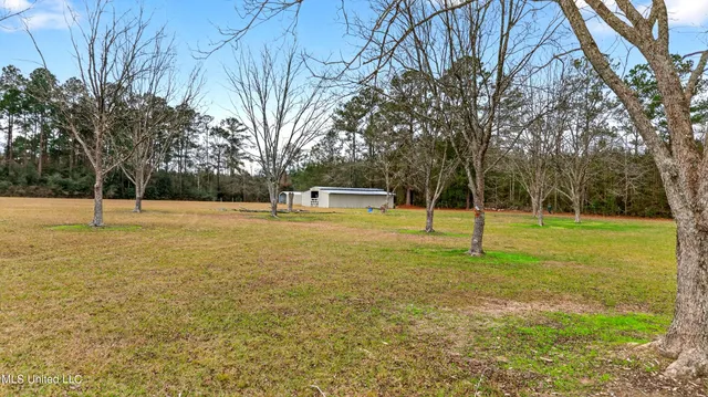 $375,000 | 80 South Spoon Ranch Road, Poplarville, MS 39470