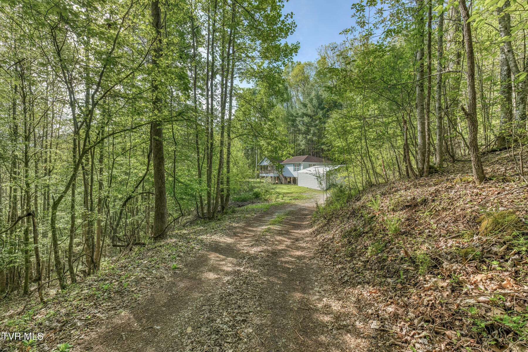 514 Piney Grove Road Hampton, TN 37658 - Photo 7 of 33 514 Piney Grove Rd-27