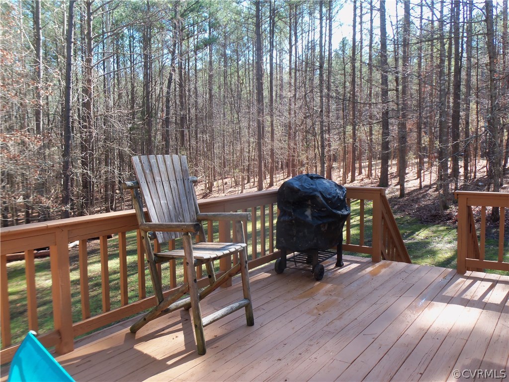 4396 Three Bridge Road Powhatan, VA 23139 - Photo 4 of 20 Gallery Image 4