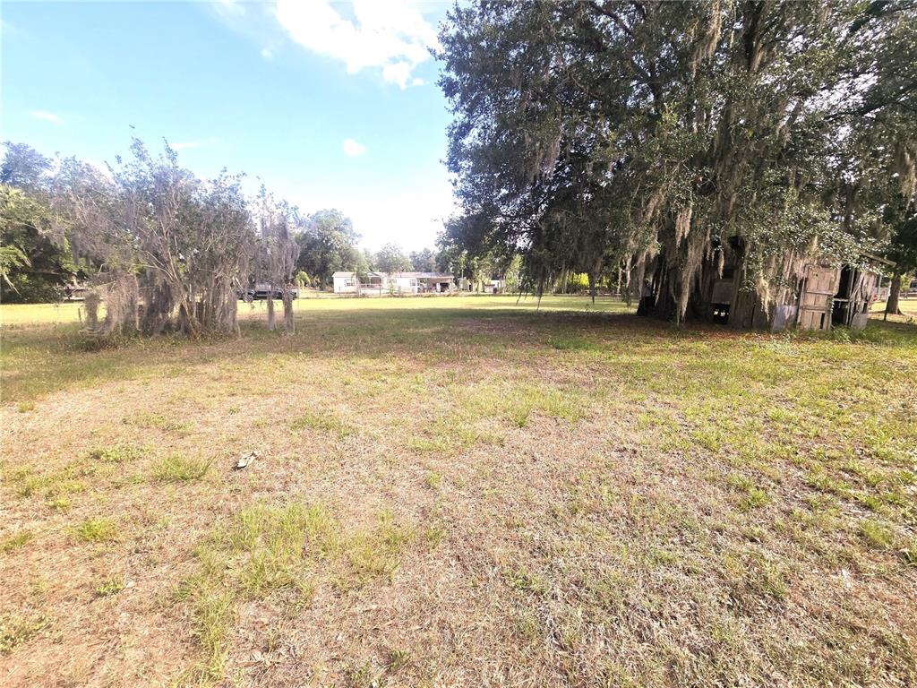 1124 Jerry Smith Road Dover, FL 33527 - Photo 15 of 20