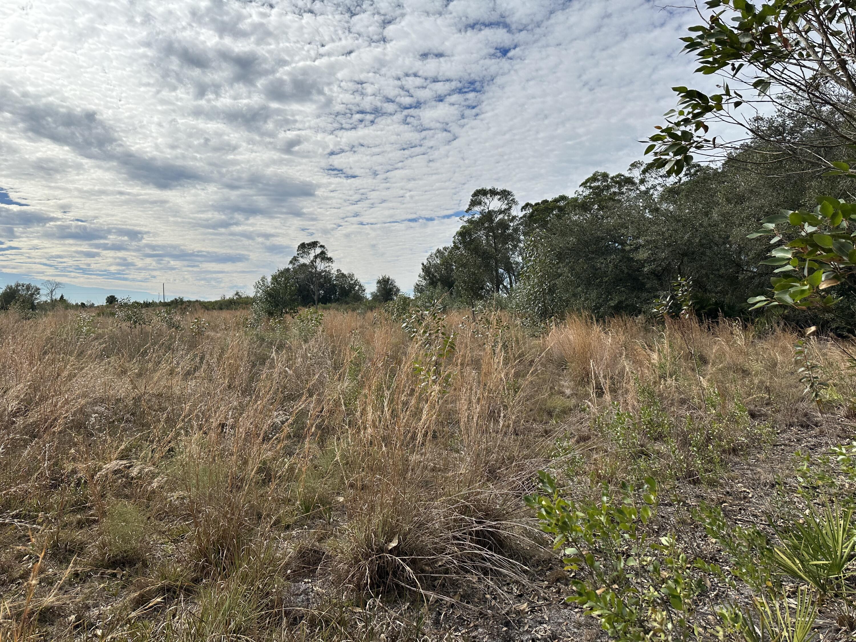 15322 Northwest 252nd Street Okeechobee, FL 34972 - Photo 4 of 5 IMG_6523