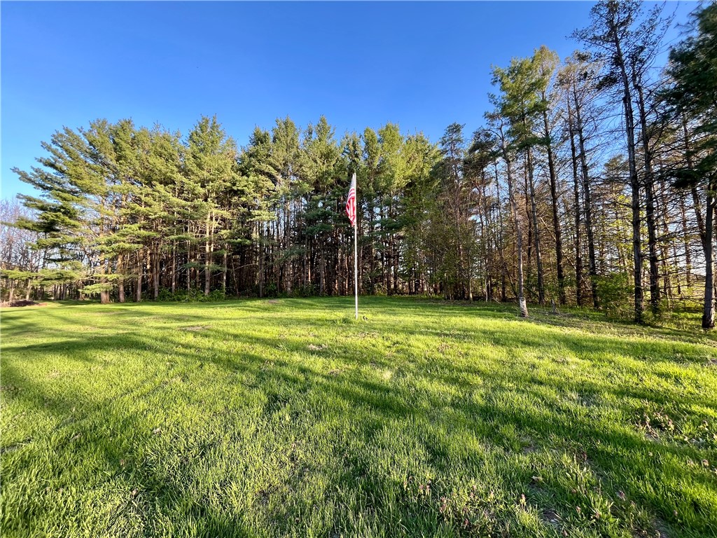 558 Sterling Station Road Sterling, NY 13143 - Photo 3 of 45 The land has a beautiful level yard and woods