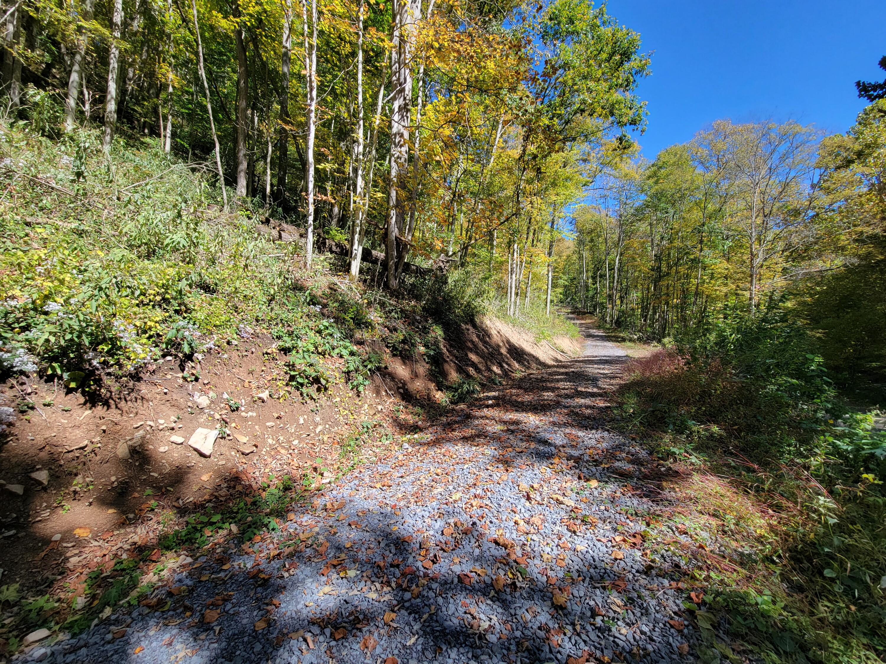 Robins Fork Road Renick, WV 24966 - Photo 11 of 34 Gallery Image 11