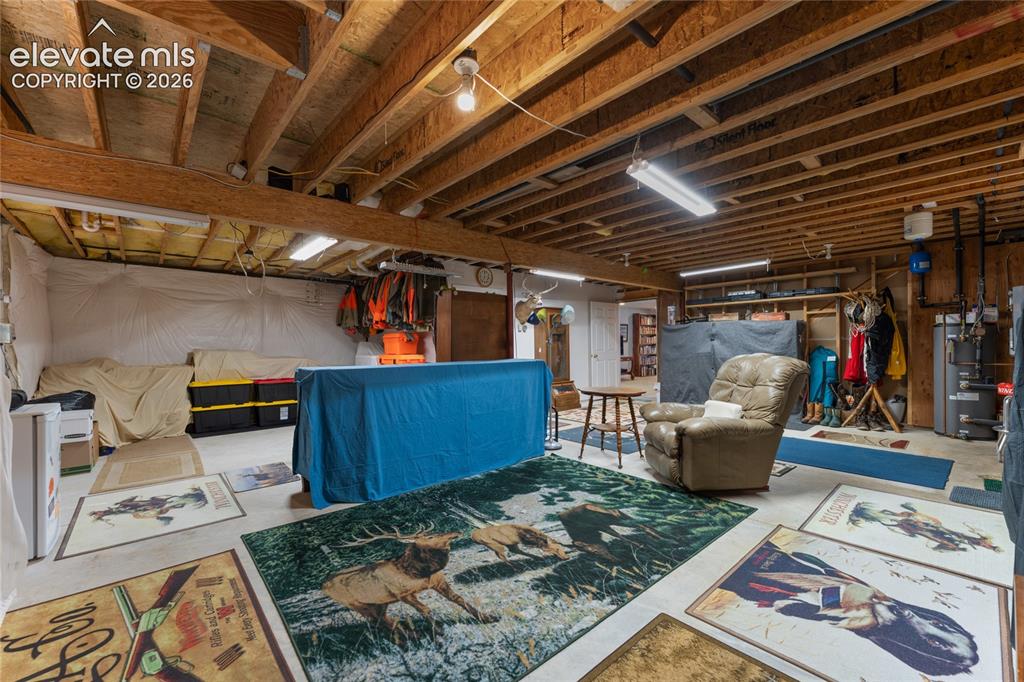657 Spring Valley Drive Divide, CO 80814 - Photo 36 of 43