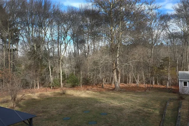 a view of backyard with green space