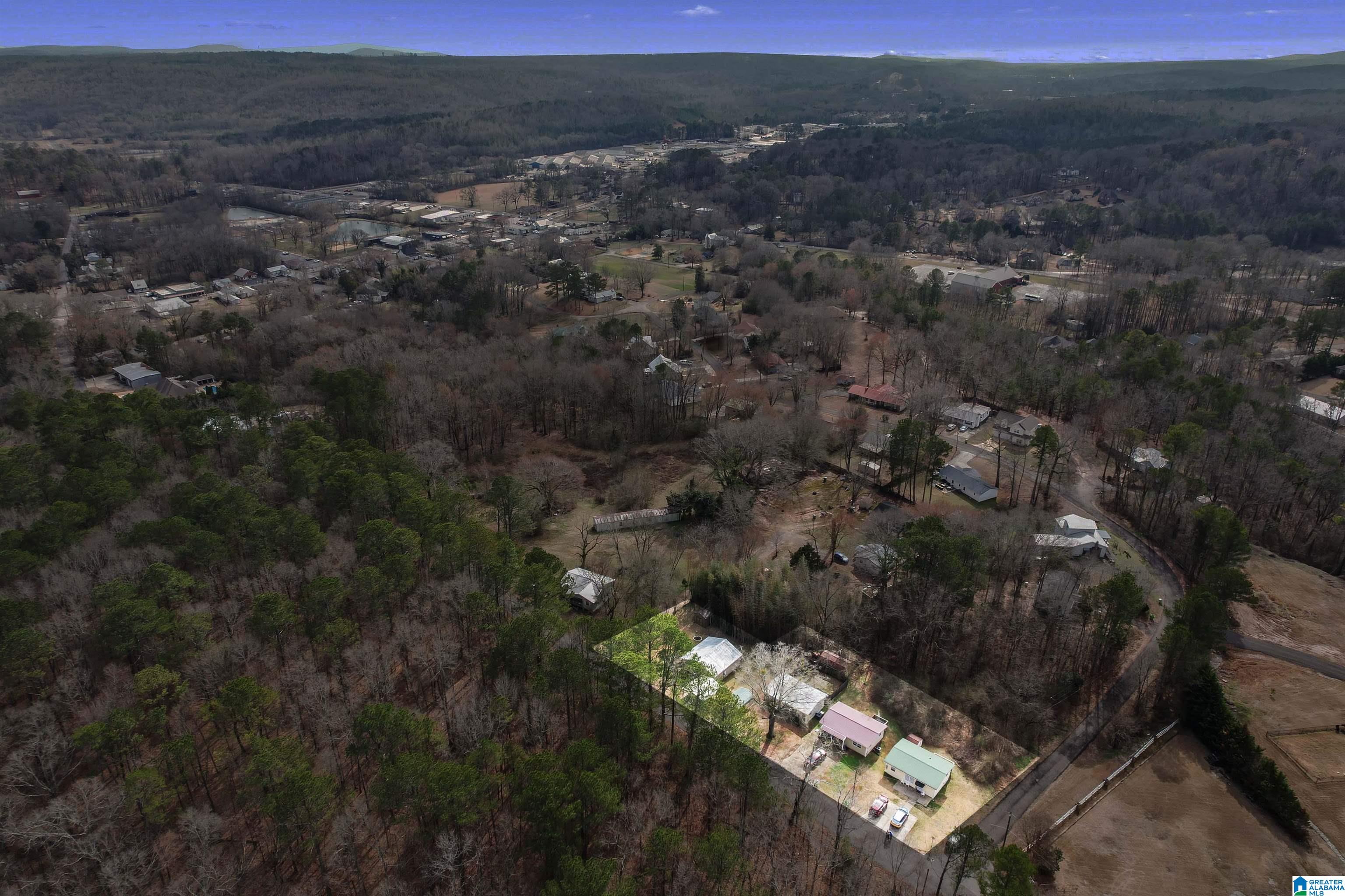 167 Old Mill Road Springville, AL 35146 - Photo 5 of 44