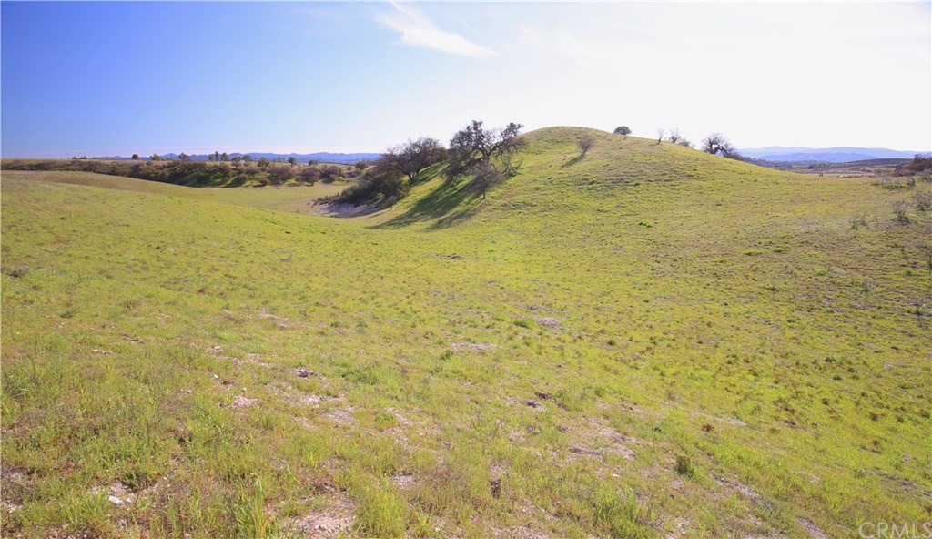 64331 Cross Road King City, CA 93930 - Photo 1 of 1 Gallery Image 1