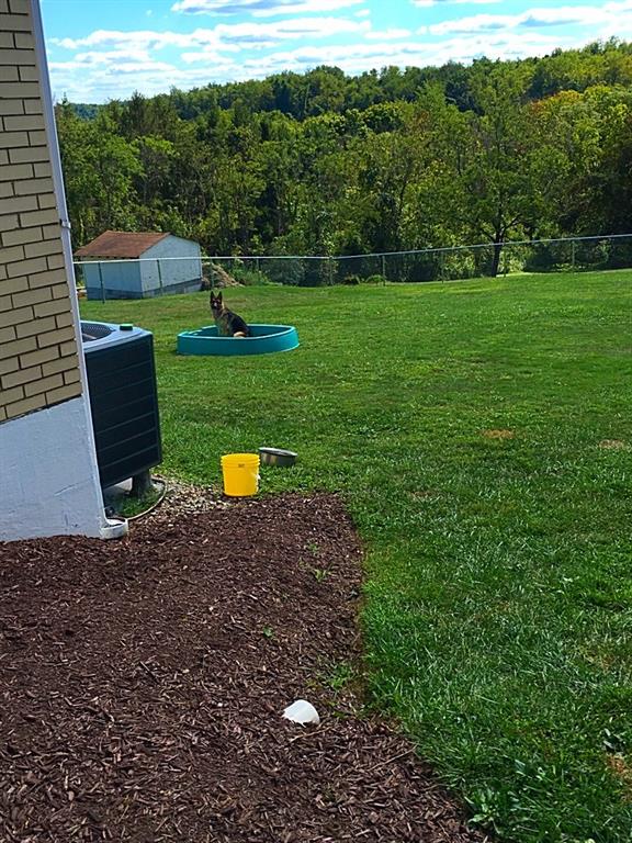 988 Peairs Road Elizabeth, PA 15037 - Photo 10 of 14 Gallery Image 10
