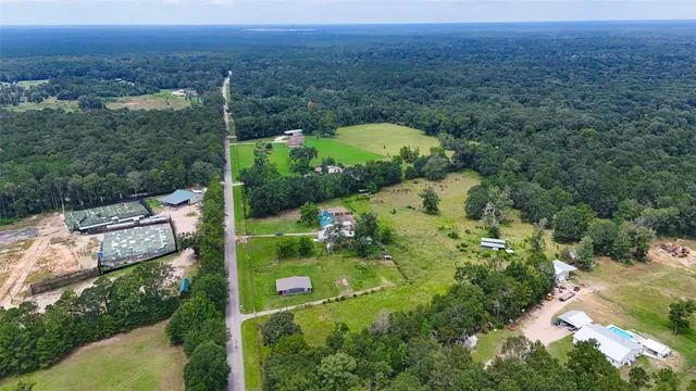 an aerial view of green landscape with trees houses and mountain view
