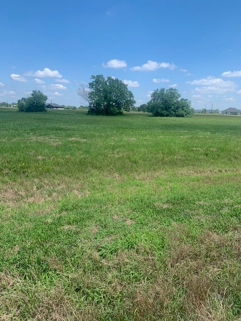 498 Brahman Trail Angleton, TX 77515 - Photo 2 of 11