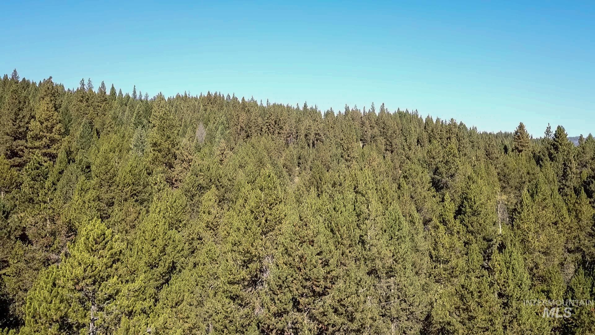1-3 Horsethief Road Cascade, ID 83611 - Photo 3 of 11