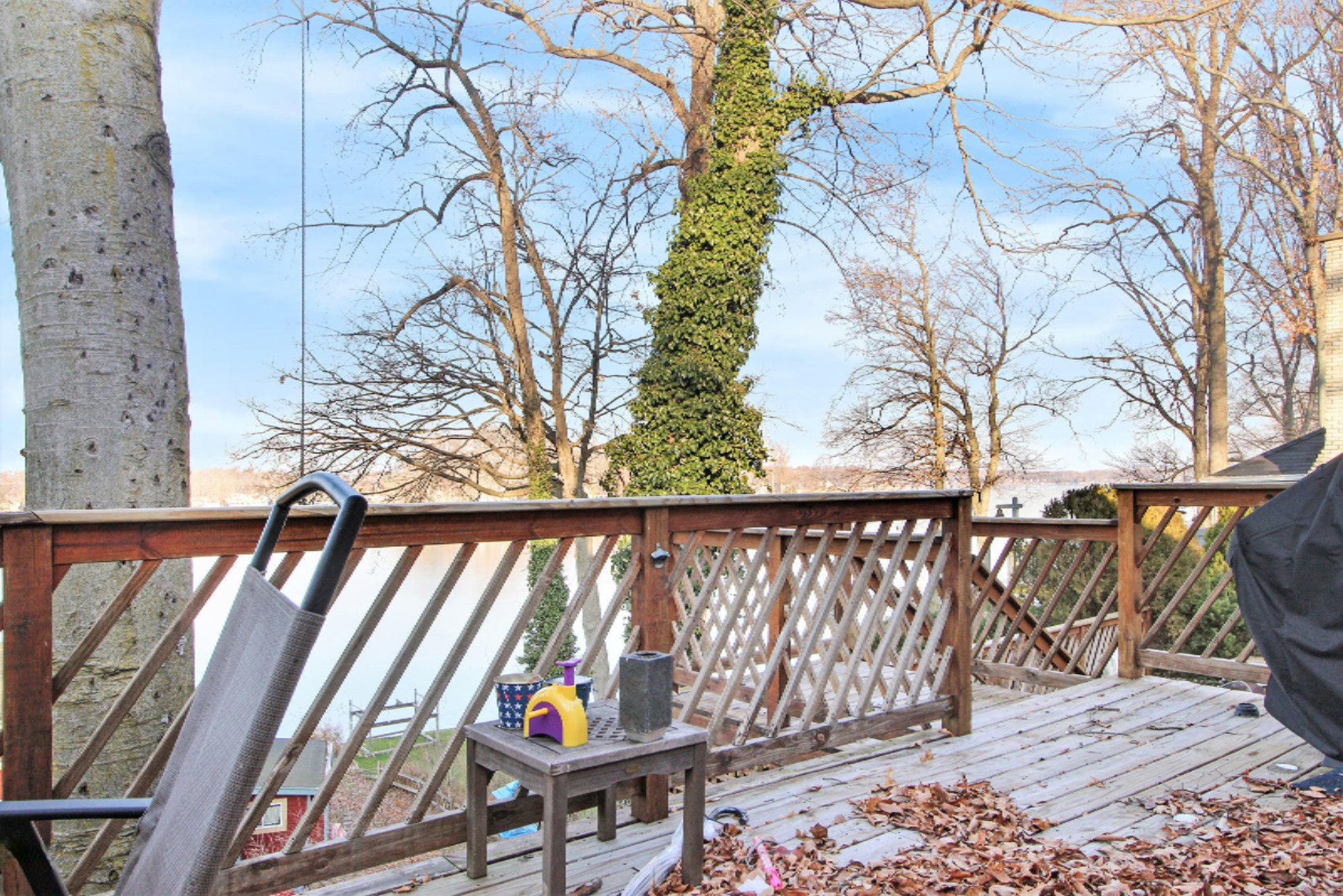 31524 Maple Island Road Dowagiac, MI 49047 - Photo 14 of 39 Kitchen Deck Overlooking Magician Lake