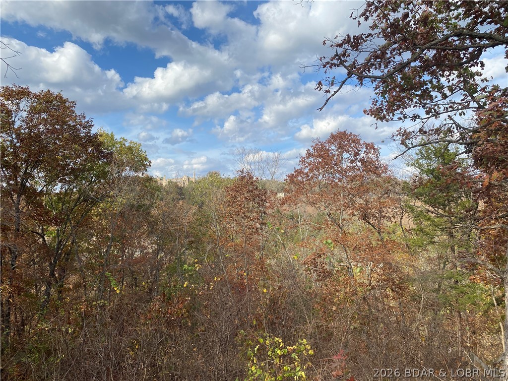 813 Tonka Spring Road Camdenton, MO 65020 - Photo 60 of 63 Gallery Image 60
