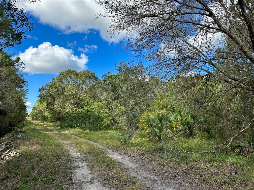 0 85th Street Fellsmere, FL 32948 - Photo 6 of 10