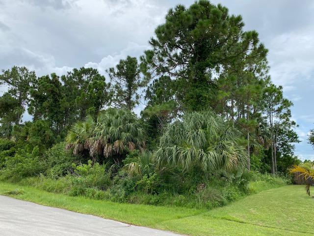 2334 Southwest Neal Road Port St. Lucie, FL 34953 - Photo 2 of 2 2334 SW Neal Road2