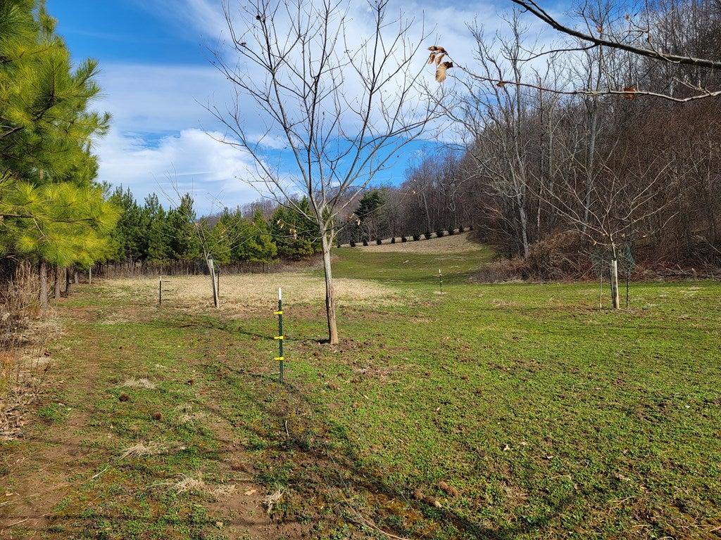 12306 Callaway Road Callaway, VA 24067 - Photo 14 of 53 Gallery Image 14