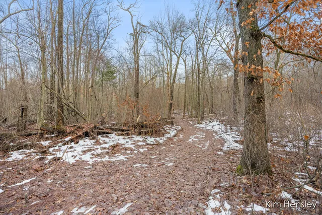 $159,900 | V/l West Wood Lake Road, Pierson, MI 49339