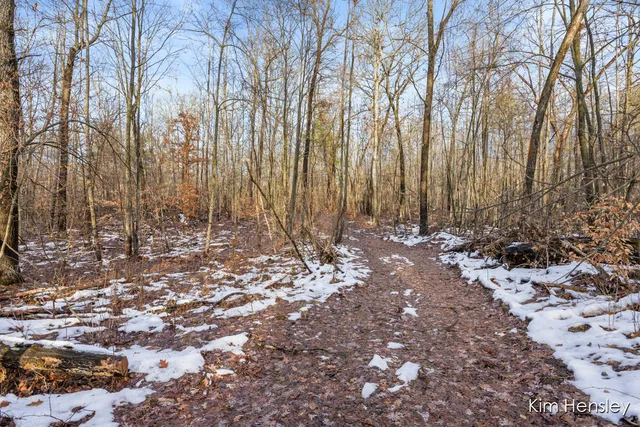 $159,900 | V/l West Wood Lake Road, Pierson, MI 49339