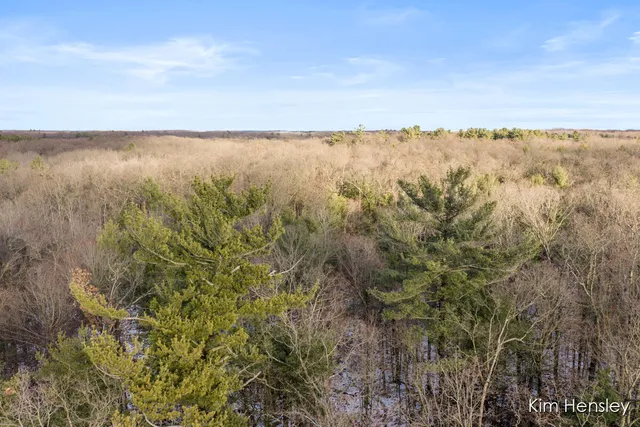 $159,900 | V/l West Wood Lake Road, Pierson, MI 49339