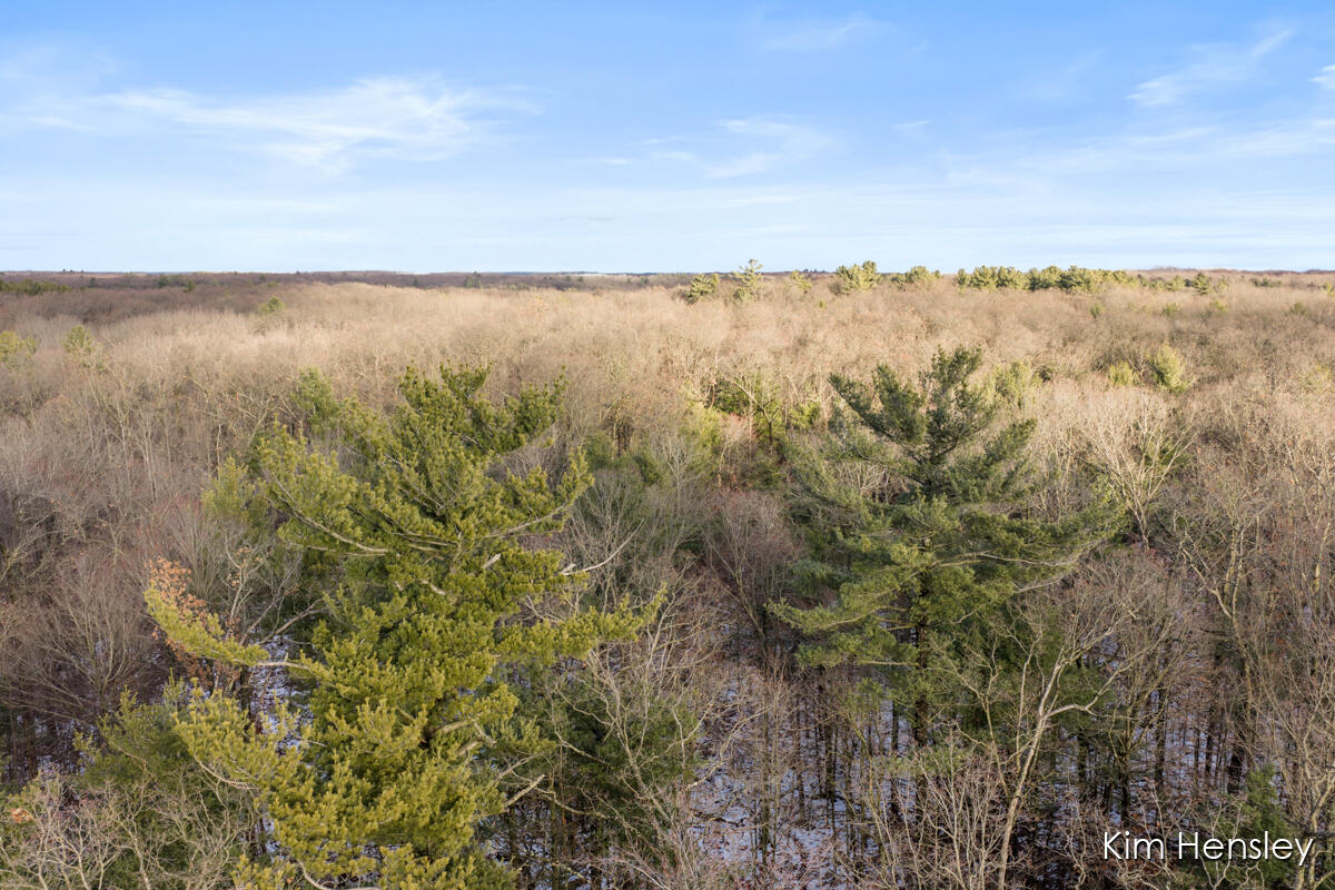 V/l West Wood Lake Road Pierson, MI 49339 - Photo 15 of 24 IMG_1014