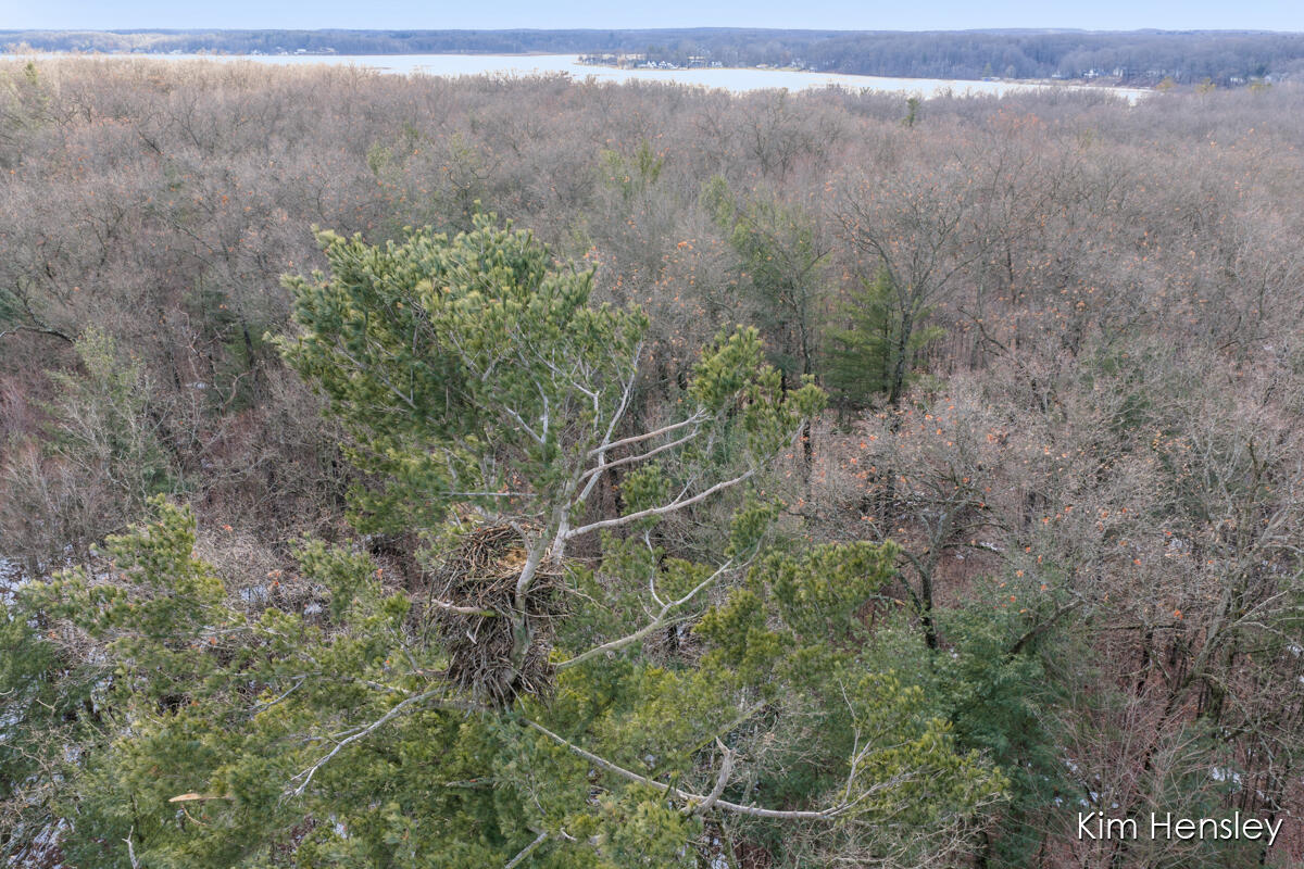 V/l West Wood Lake Road Pierson, MI 49339 - Photo 16 of 24 IMG_1015