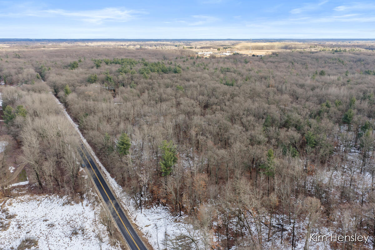 V/l West Wood Lake Road Pierson, MI 49339 - Photo 18 of 24 IMG_1017