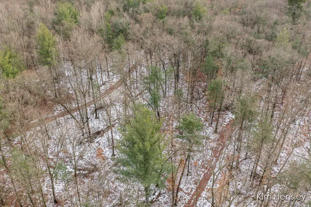 $159,900 | V/l West Wood Lake Road, Pierson, MI 49339