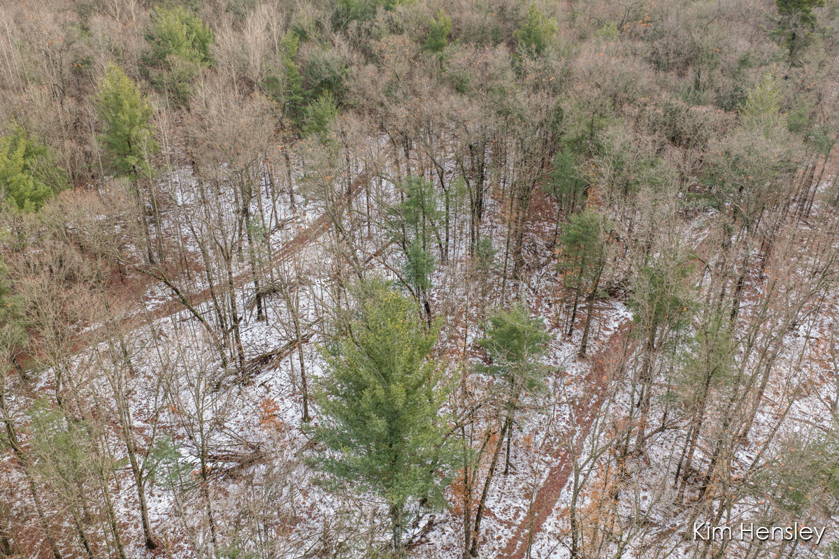 V/l West Wood Lake Road Pierson, MI 49339 - Photo 19 of 24 IMG_1018